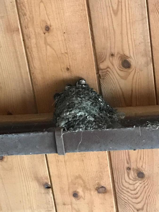Hering Fewo II Apartment Balcony Wiek auf Rügen 외부 사진